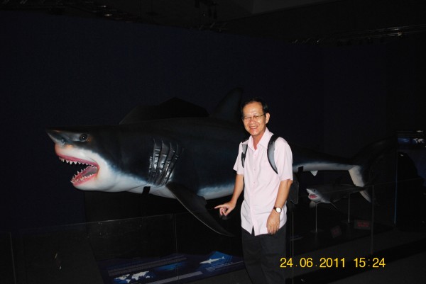 110625-phphuoc-singapore-sharks