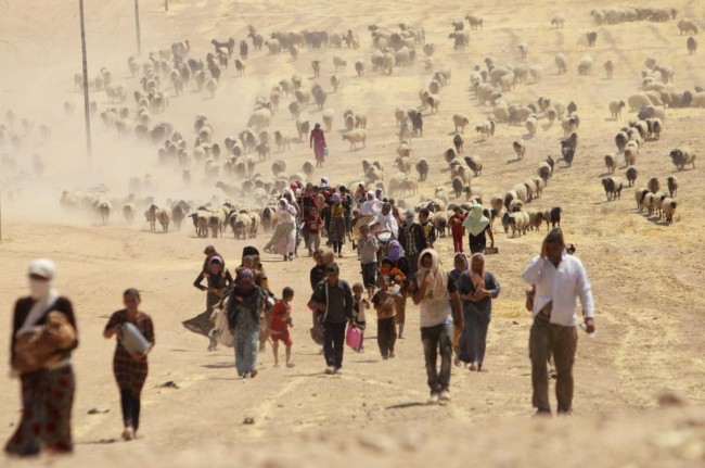 140810-iraq-yazidi-refugees-09