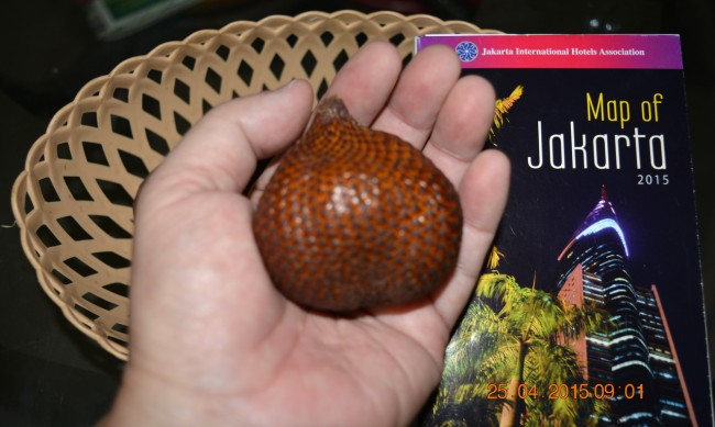 150425-balai-salak-snakefruit-phphuoc-03_resize