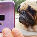 BuzzFeed và The Dodo ứng dụng tính năng Super Slow-mo của Samsung Galaxy S9 và S9+ vào video clip