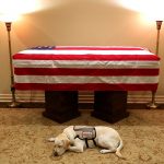 Chú chó cuối cùng của cựu Tổng thống George H.W. Bush