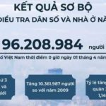 Việt Nam có 96 triệu dân