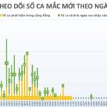 Ngày 15-5-2020, Việt Nam có thêm 25 ca nhiễm SARS-CoV-2 mới từ nước ngoài về