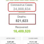 Hơn 24 triệu người trên thế giới đã mắc bệnh dịch COVID-19