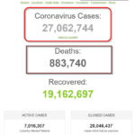 Hơn 27 triệu người trên thế giới đã nhiễm coronavirus SARS-CoV-2