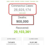 Thế giới đã có hơn 28 triệu người được ghi nhận nhiễm coronavirus SARS-CoV-2