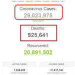 Thế giới đã có hơn 29 triệu người được ghi nhận nhiễm coronavirus SARS-CoV-2