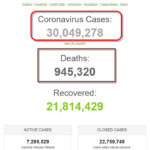 Thế giới đã có hơn 30 triệu người được ghi nhận nhiễm coronavirus SARS-CoV-2