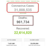 Thế giới đã có hơn 31 triệu người được ghi nhận nhiễm coronavirus SARS-CoV-2