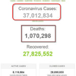 Số bệnh nhân COVID-19 trên thế giới đã vượt mốc 37 triệu người