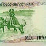 Tờ giấy bạc 100 đồng “con trâu”