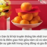 Người Việt tìm kiếm gì trên Google vào dịp Tết Nguyên đán Quý Mão 2023?