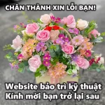 Bảo trì Website phamhongphuoc.com