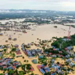 Trà xanh Thái Nguyên trong hạn bão lũ