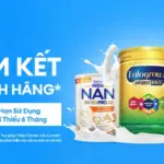 “Cam kết Sữa Chính Hãng”: Lazada cùng các thương hiệu sữa hàng đầu chung tay bảo vệ người tiêu dùng