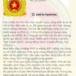 TikTok mở rộng chiến dịch cảnh báo lừa đảo trực tuyến ngay trong ứng dụng