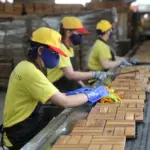 Nhà sản xuất đồ gỗ Green Mekong đạt mốc triệu USD ngay trong năm đầu xuất khẩu trực tuyến trên Amazon