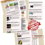 Xin gửi 38 triệu lời cảm ơn đến bạn đọc bằng hữu của tệ xá phamhongphuoc